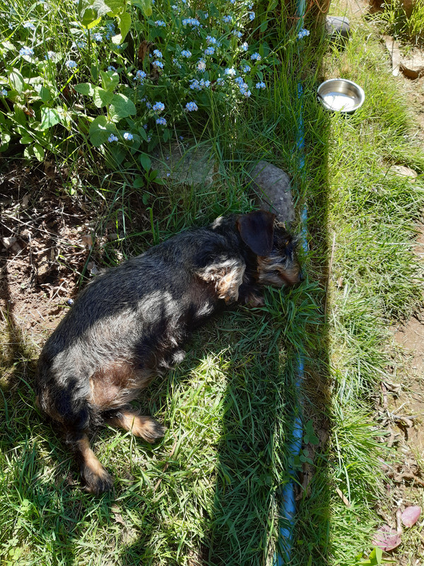 [Image: 20241030-111553.jpg]