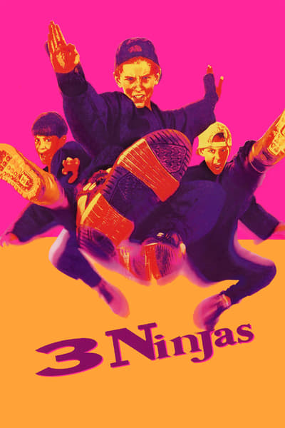 3 Ragazzi Ninja (1992) .avi TVRip XviD MP3 - ITA