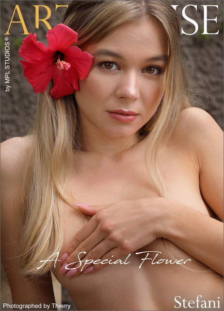 Stefani - A Special Flower #6619 x152 2023-01-14