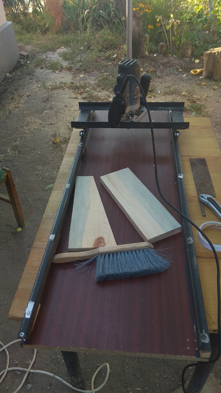 38 Фрейзмус скоса пера 2