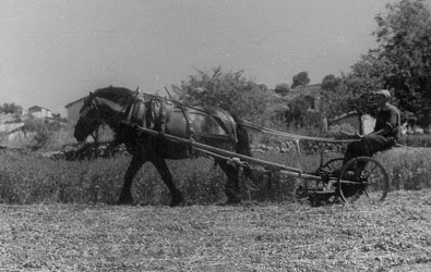 Tractores en fotos de época.  - Página 19 MONTANT-DE-TOST-1955