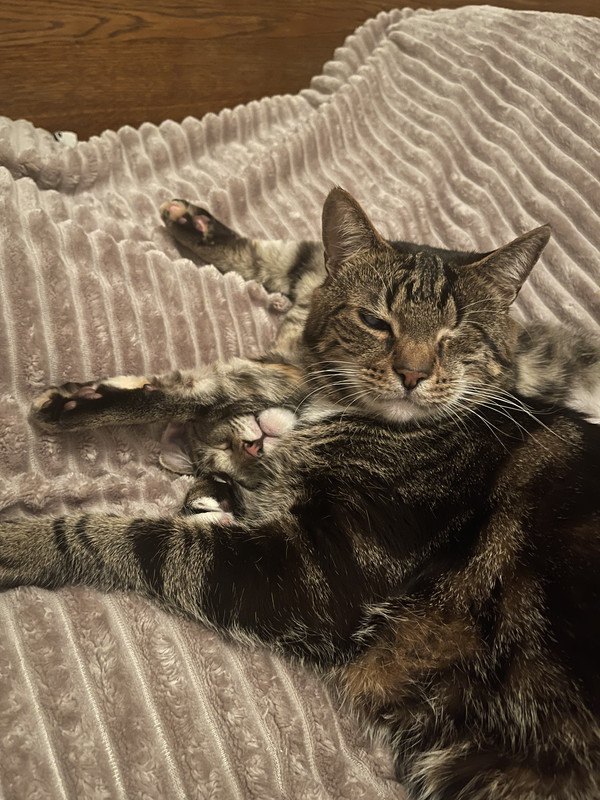 53D2FD0E-788F-47B8-818C-C51BB90525D4