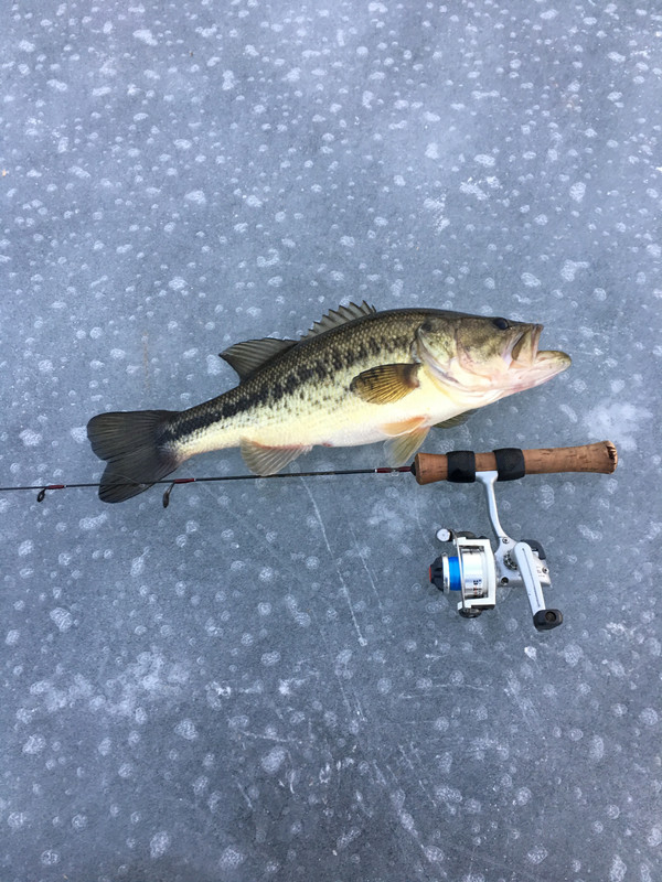 BE9BC6EA-EE1E-42B4-AF15-5BDB129EC9BF