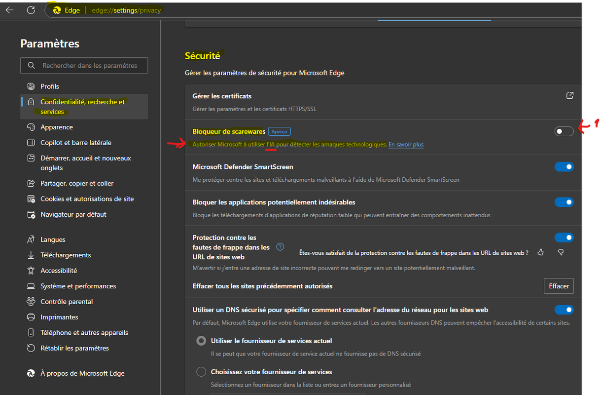 Capture d’écran 2025-01-29 061208