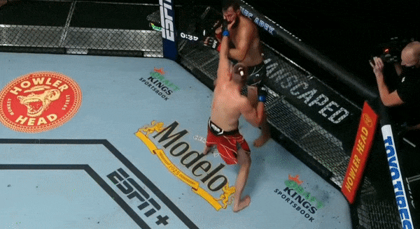 Jiri Prochazka KO Dominick Reyes GIFS | Sherdog Forums | UFC, MMA & Boxing Discussion