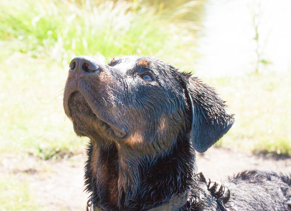 2CF63709-8244-441C-9F3D-0B1A510AB581