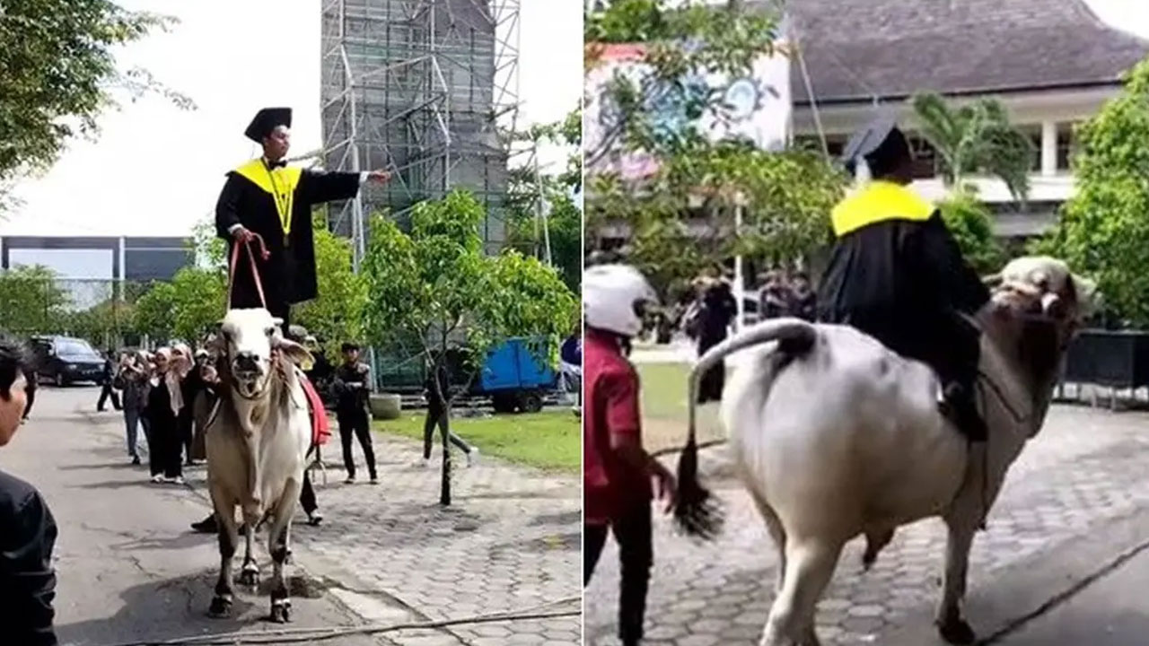 Lebih dari Bisnis, Misi Sosial dan Edukasi