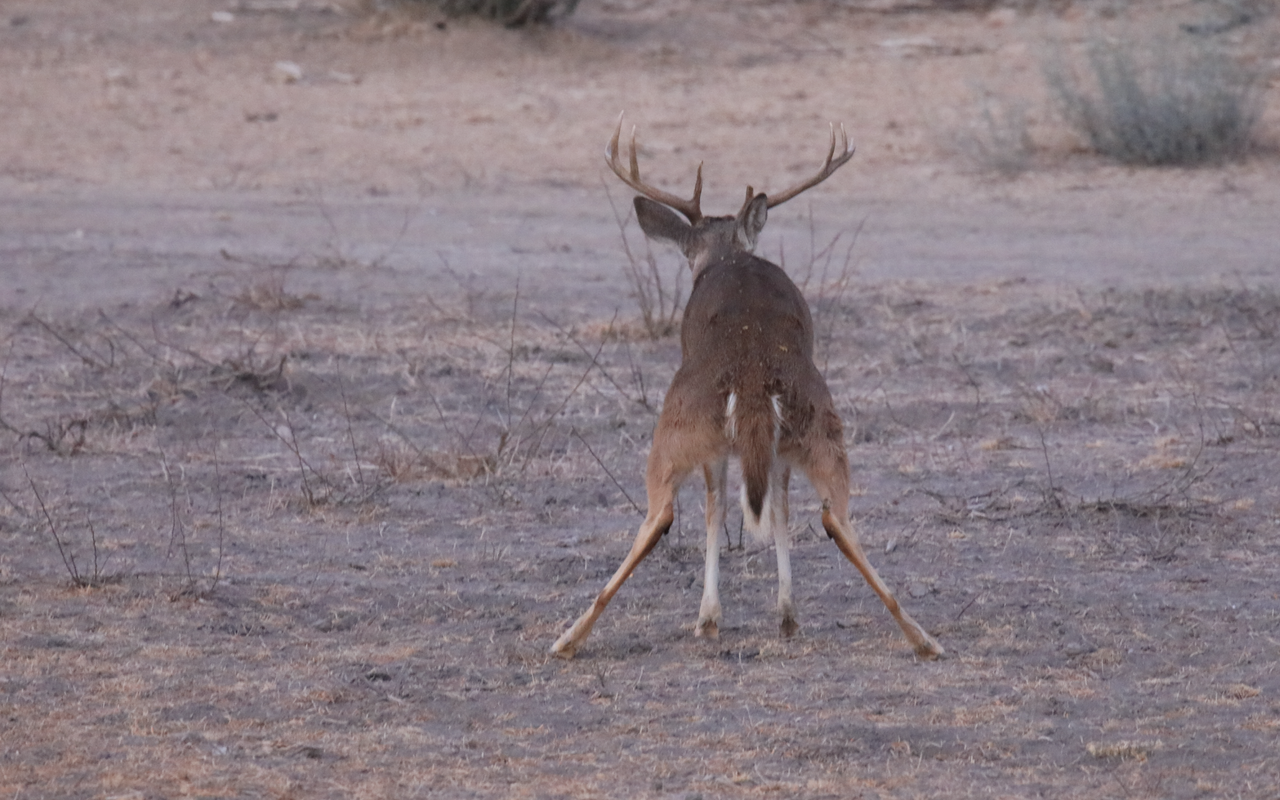 Screen Shot 2026 03 16 at 12 42 47 PM