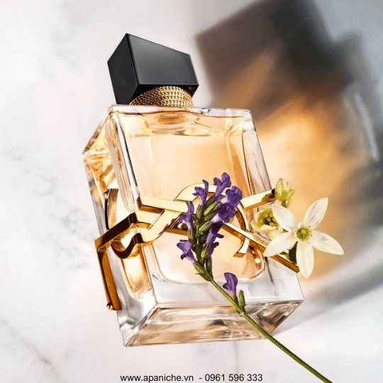 Libre-EDP-1.png