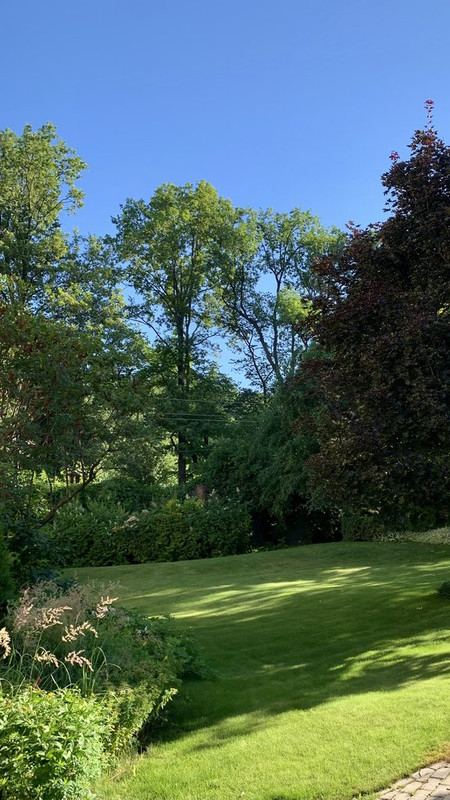 279FD98F-A833-44C7-B094-B0E0CDB2B380