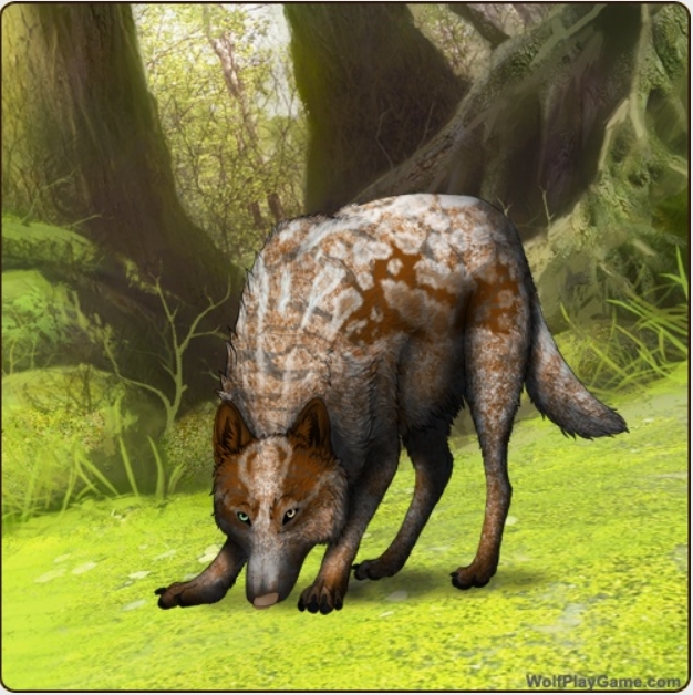 Screenshot-12-7-2025-235558-wolfplaygame-com.jpg