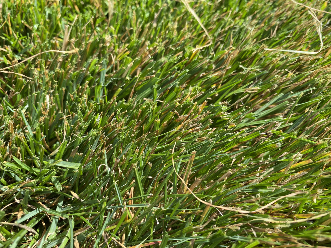 D5DDDDBE-A38D-43BA-BE4D-BD6903549587