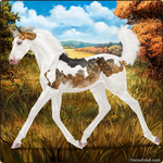 Entry-3-Foal.png