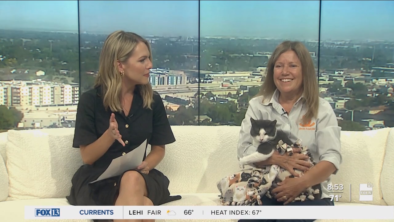 06.09 - 15.00.00 - FOX13 News  Good Day Utah 8AM  ᴺᵉʷ. Utah news, wea....ts_snapshot_54.51.769