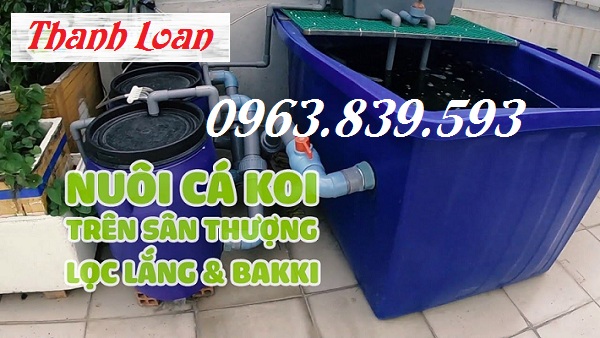 Thùng nhựa 2 m3 đựng nước sản xuất dệt nhuộm,bán thùng nhựa nuôi cá 2000L / 096.3839.593 Ho-nhua-nuoi-ca-Koi-1