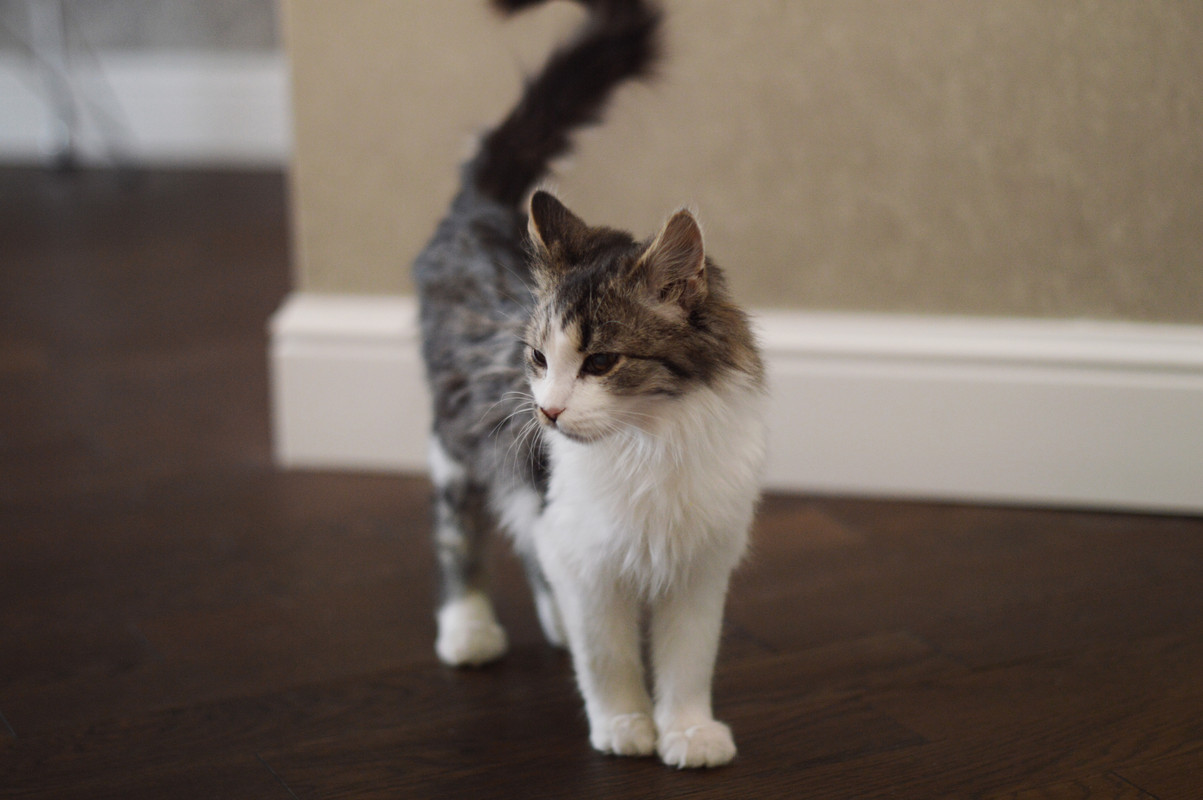 FullSizeRender-03-12-18-10-09-6 (1)