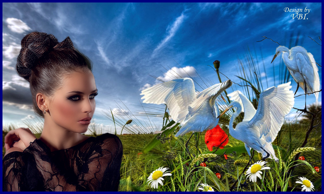 vogels