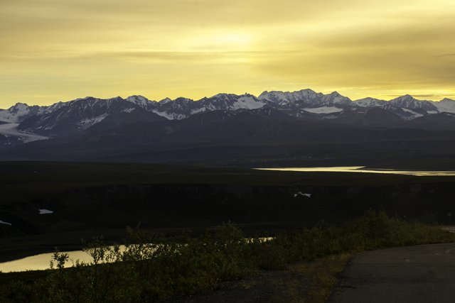 Denali hwy  (1 of 1)-6 - Copy