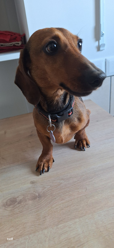 [Image: 20250901-140940.jpg]