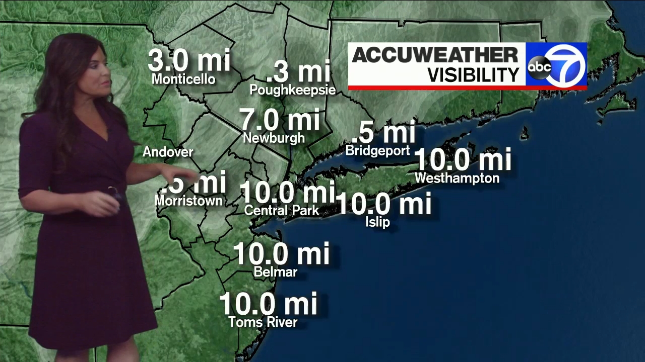 12.13 - 11.00.00 - Eyewitness News Sunday Morning..ts_snapshot_00.33.05.866