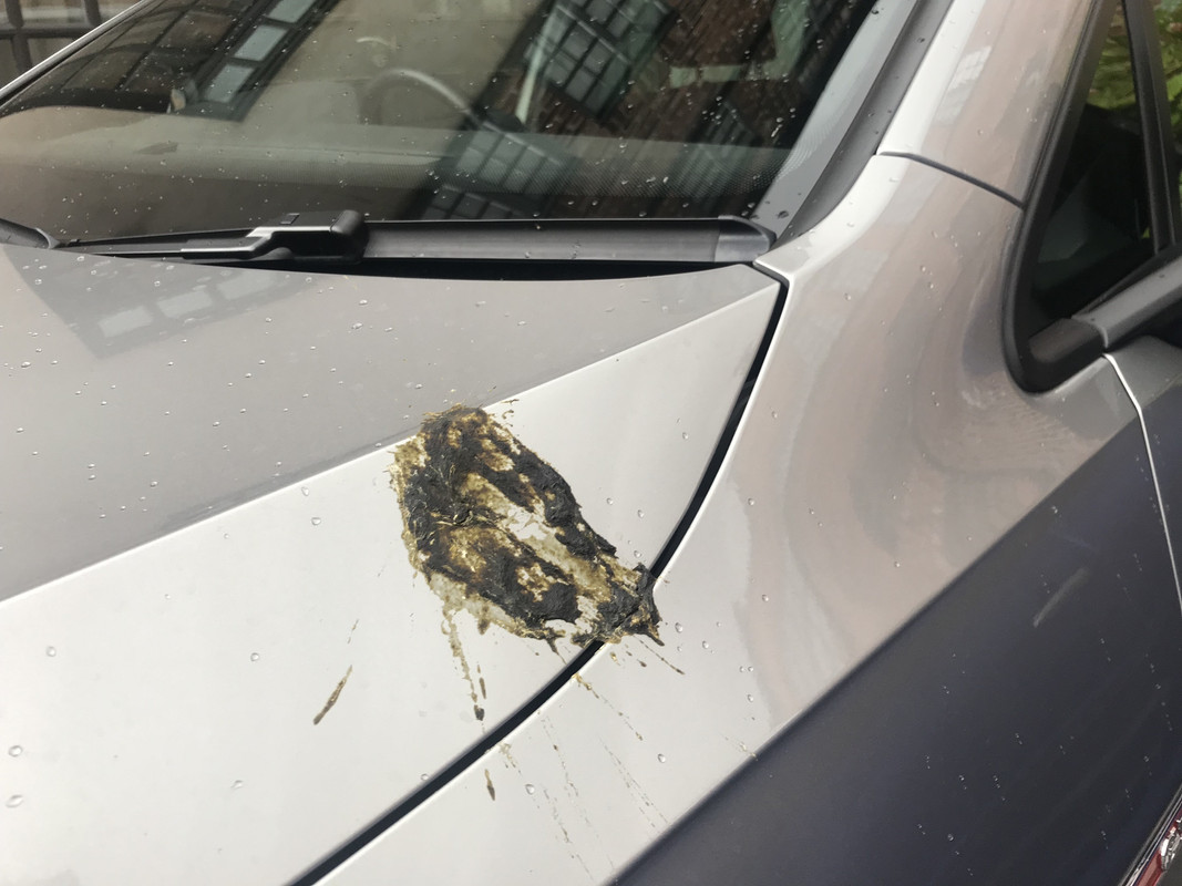 38GnH6FcQc Sj43aUxafJw