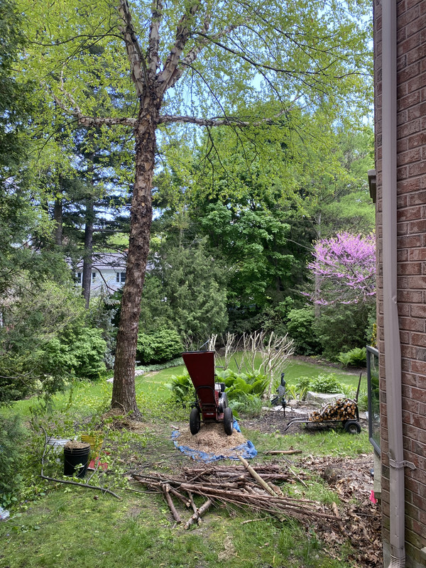 3AFF5025-E844-421E-BB07-B81F004F80EF