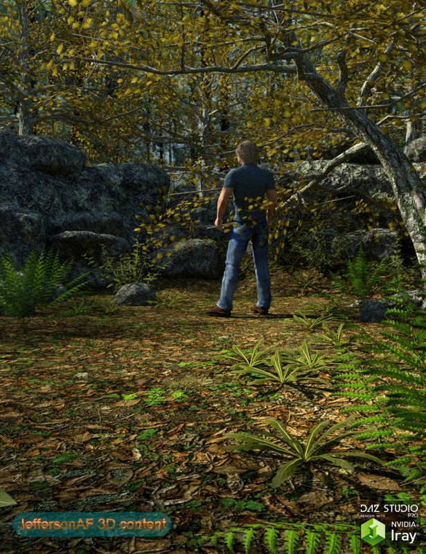 Between the Forest Between the Forest