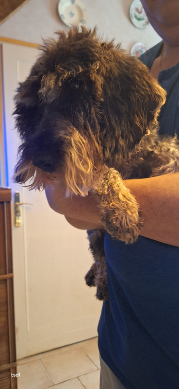 [Image: 20250910-161136.jpg]