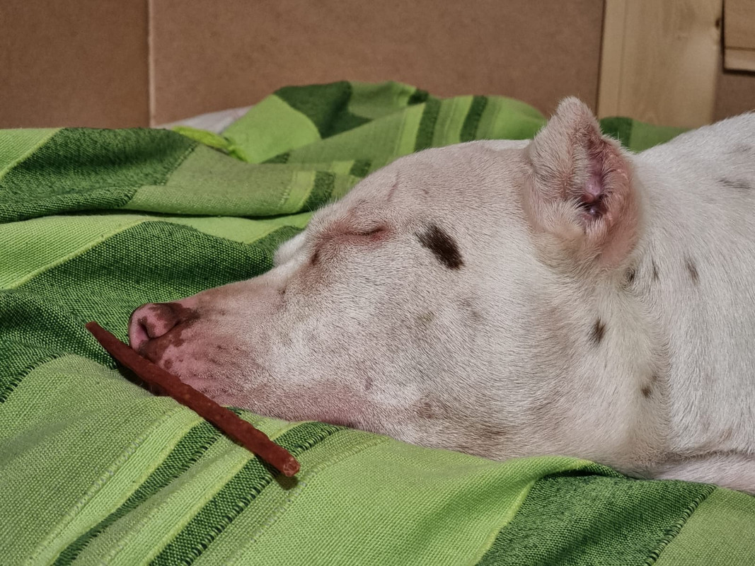 53CFC536-EB43-450F-BDF6-5E518248FE79