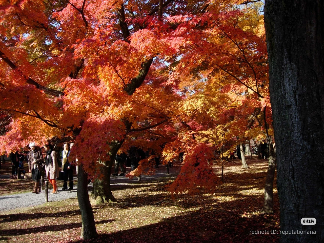 photo 4 2026 01 03 21 17 28