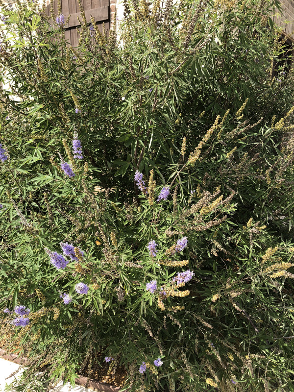 553F6F40-969A-4B12-93C4-85A43714F153