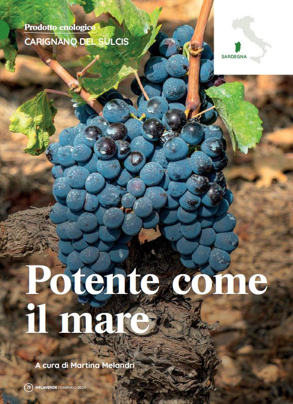 melaverde Feb 2024 (11)