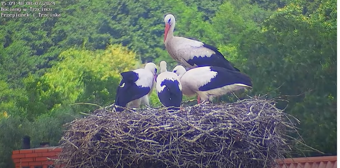 drogiedziecilekcjapierwsza