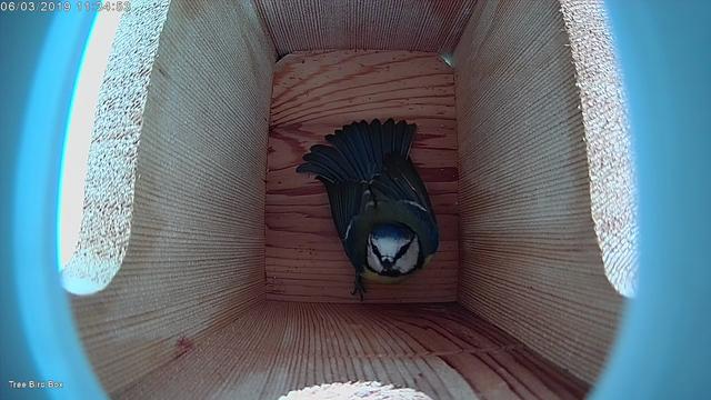 1C76927A-CAA2-4663-A600-AAEDB2BA2218