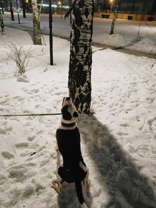 98392A26-DF34-42A6-AD89-0103A017C952