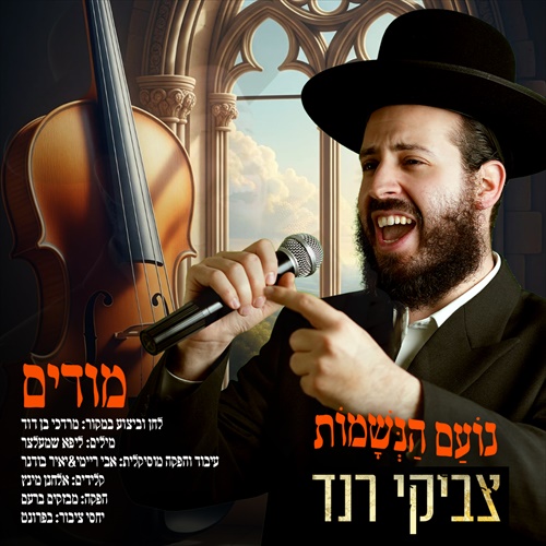 תמונה