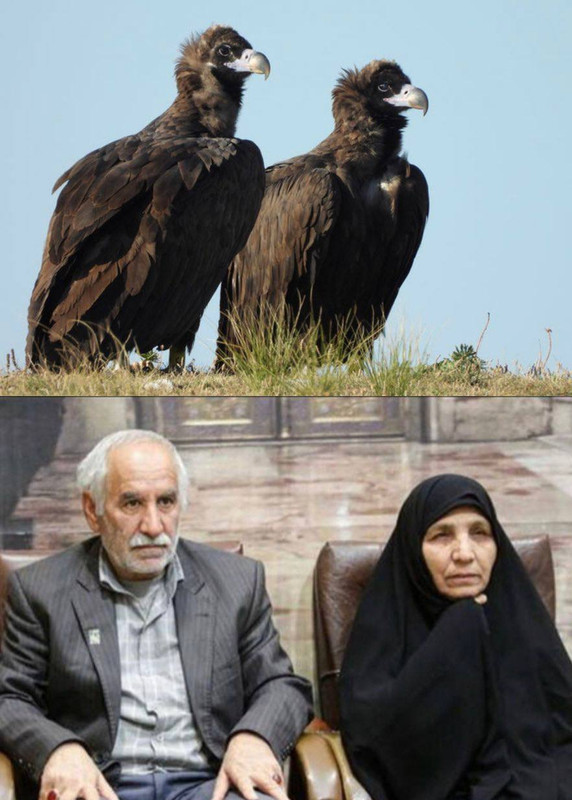 ۲۰۲۳۱۱۰۹_۰۳۴۵۰۹