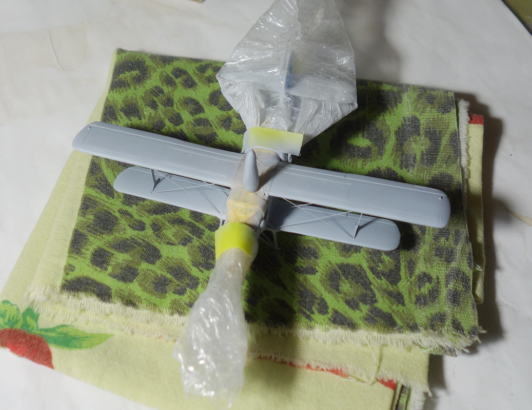 DSC09846-cr.png