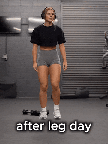 giphy-3.gif