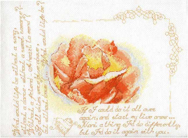 Romantic-rose