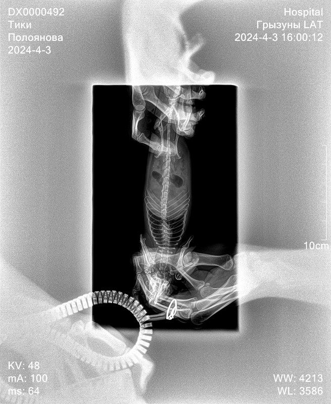 FA2BB320-D7B4-47D7-8EFC-DFD9F5048ADB