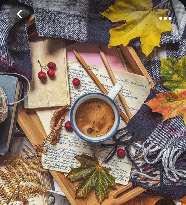 Screenshot_20231008_212831_Pinterest