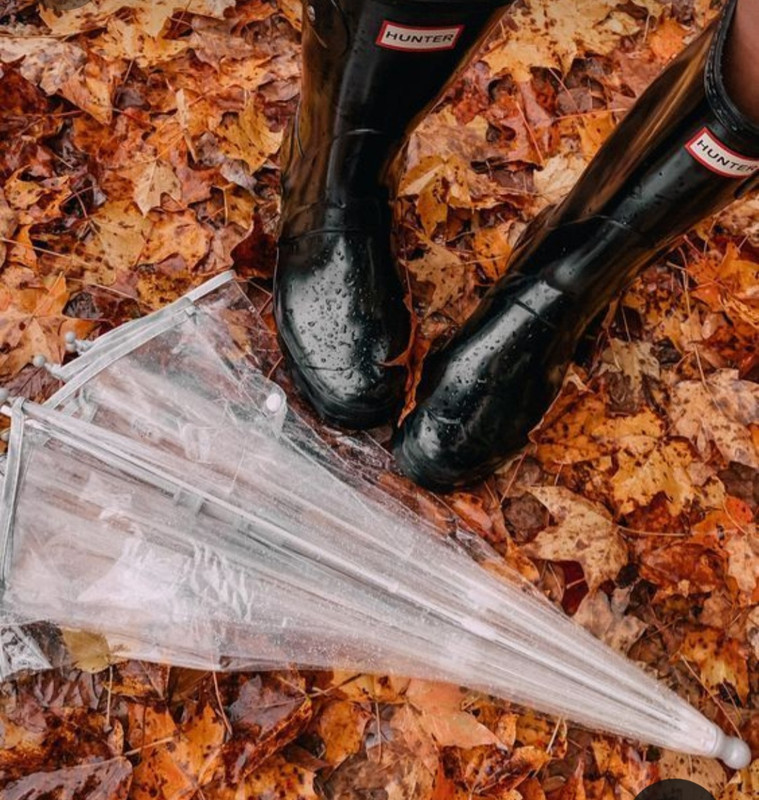 Screenshot_20231112_154941_Pinterest