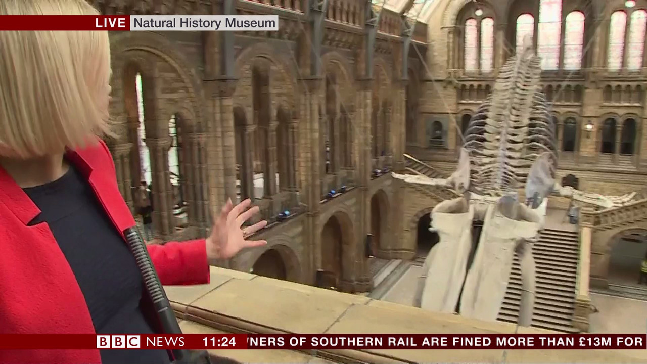BBC Newsroom Live_20170713_11001130.ts_snapshot_