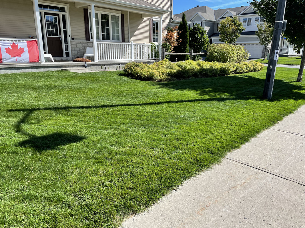 1968D66A-BCCB-4864-AA4E-6C69C693B2D0