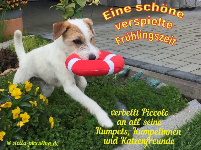 An den Beitrag angehängtes Bild: https://i.postimg.cc/4xpT3sNt/FRU-HLING-P-07.jpg