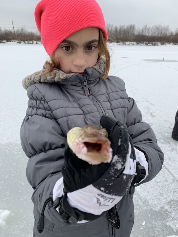 3745B691-D3B7-4793-9343-D1C05D0CB539