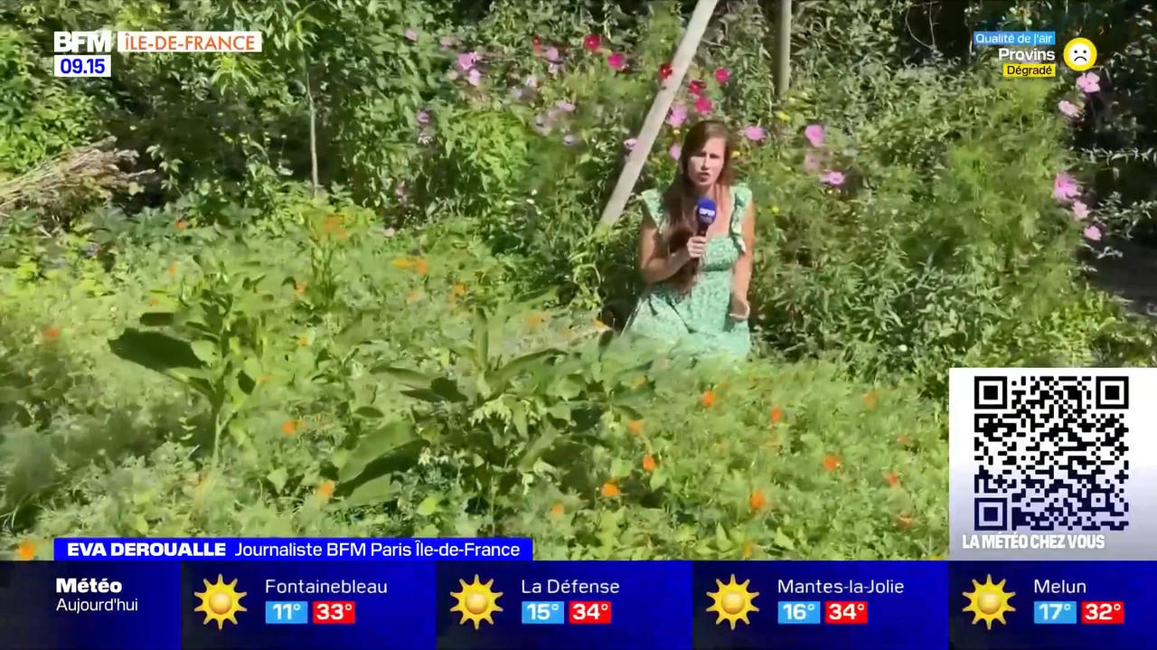 vlc-record-2022-08-13-16h22m53s-08.13 - 07.55.51-1.m4v-.mp4_snapshot_00.18_[2022.08.13_16.49.40]