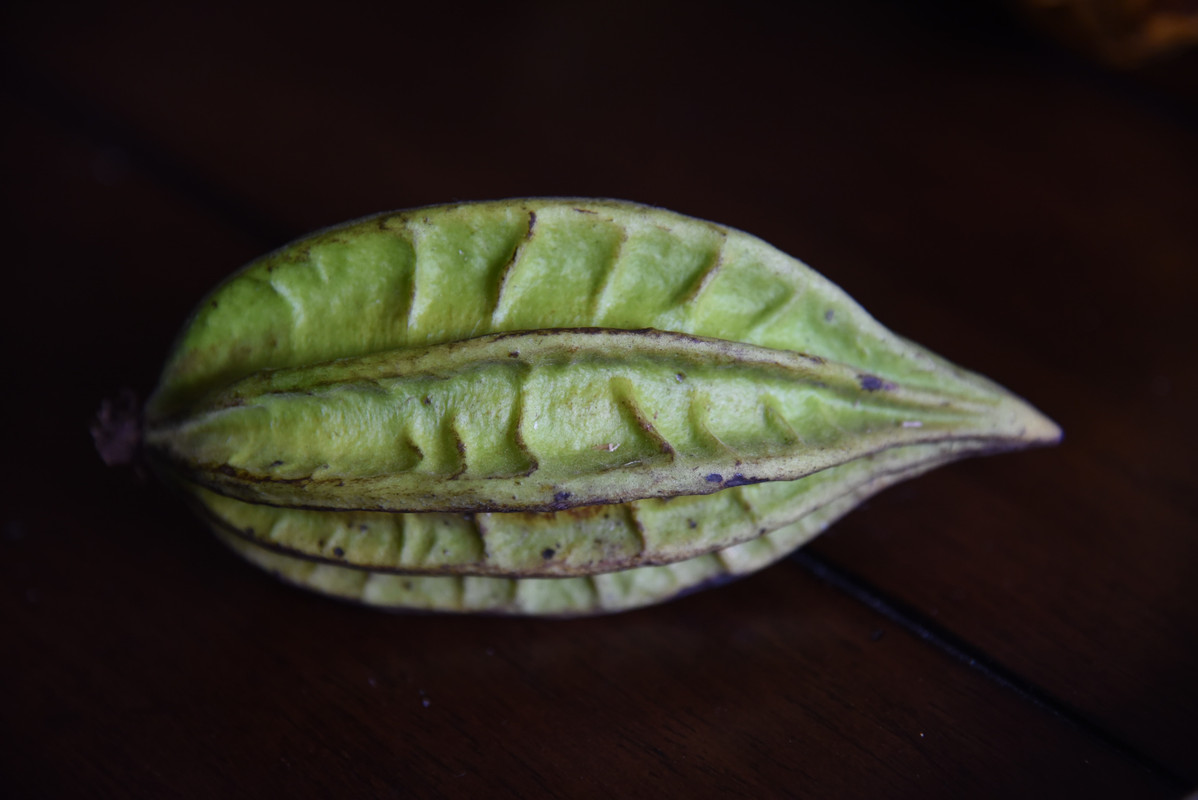 CBD792C6-587A-4D11-B9CE-3D4F1BBCD331