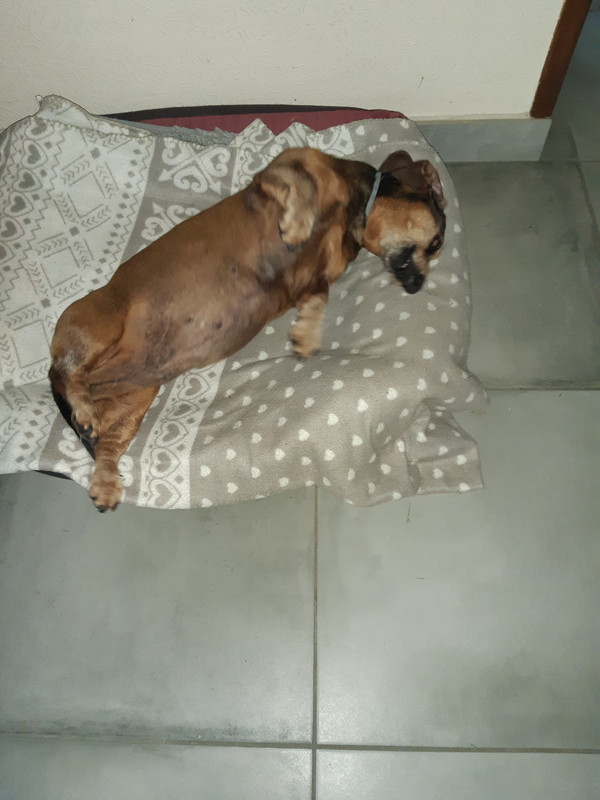 [Image: 20210522-182607.jpg]